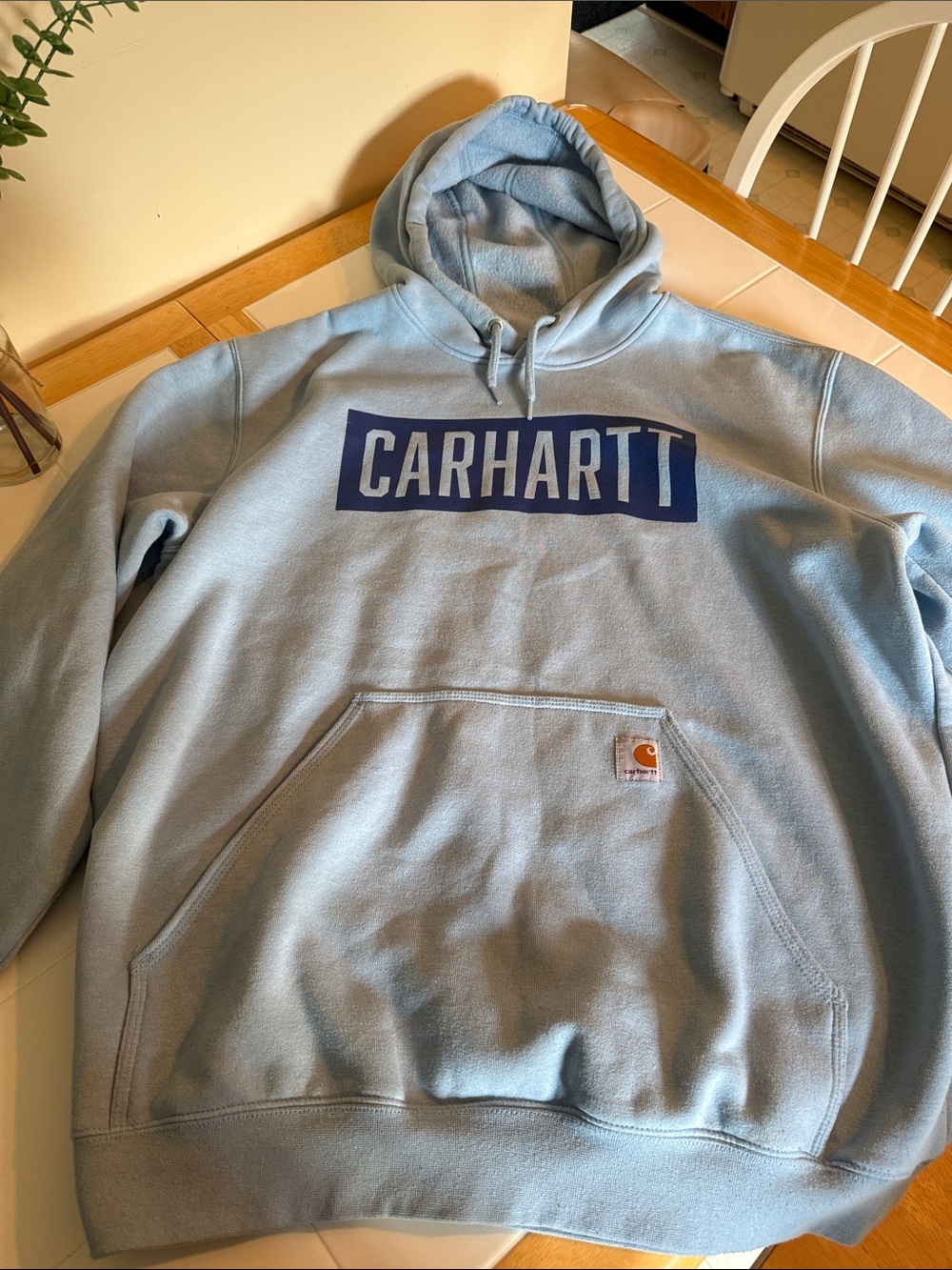 Carhartt Men’s Hoodie Sweatshirt